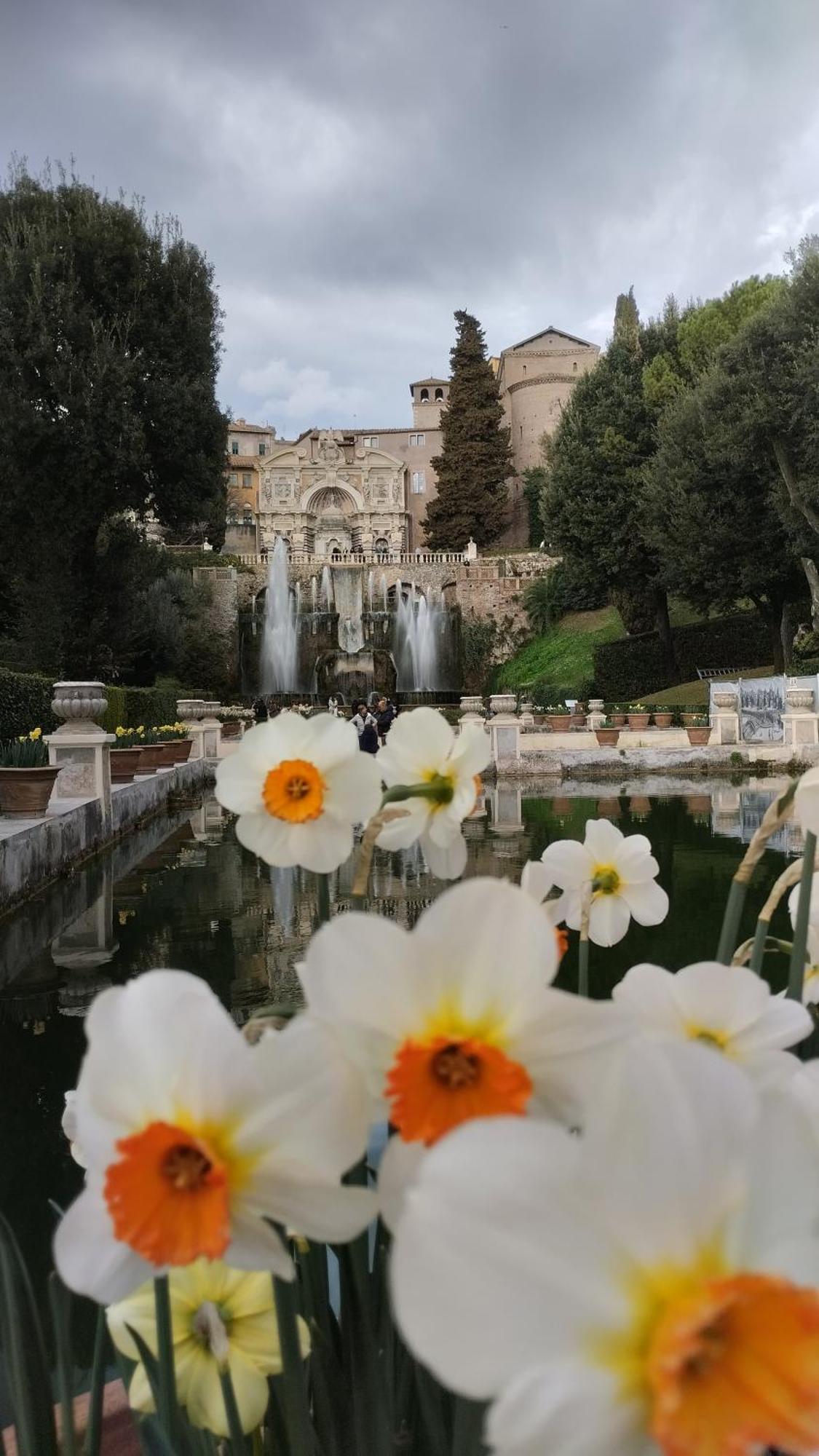 Alf E Ann B&B Tivoli Terme Zewnętrze zdjęcie